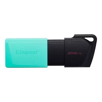 &divide; Memoria usb 256gb kingston dtxm/256 usb3.2 exodia m