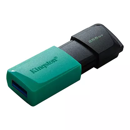 &divide; Memoria usb 256gb kingston dtxm/256 usb3.2 exodia m