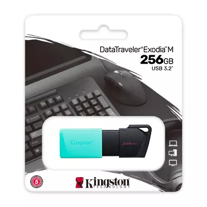 &divide; Memoria usb 256gb kingston dtxm/256 usb3.2 exodia m