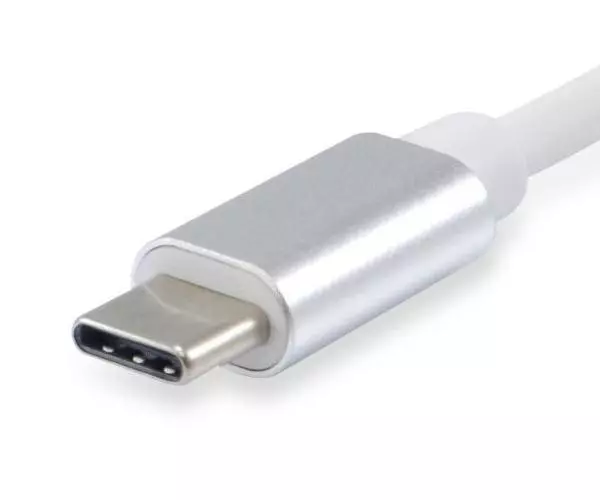 Cable adaptador Type-C a Displayport Hembra / 4K / Equip Eq133458