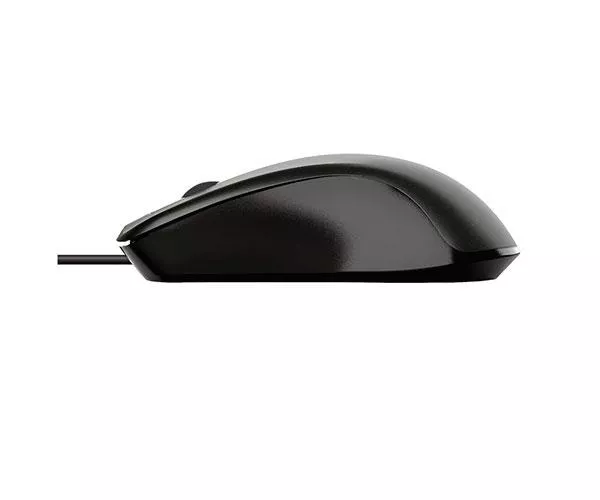 Raton Usb Trust Basics / 1200 Dpi / USB / 3 Botones / Negro  24657