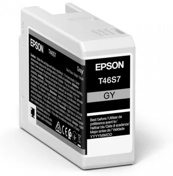 &divide; Tinta original epson t46s7 gris c13t46s700 25ml
