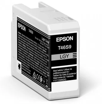 &divide; Tinta original epson t46s9 gris claro 25ml